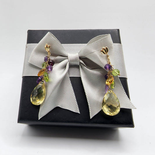14k Yellow Gold Multigem Earrings