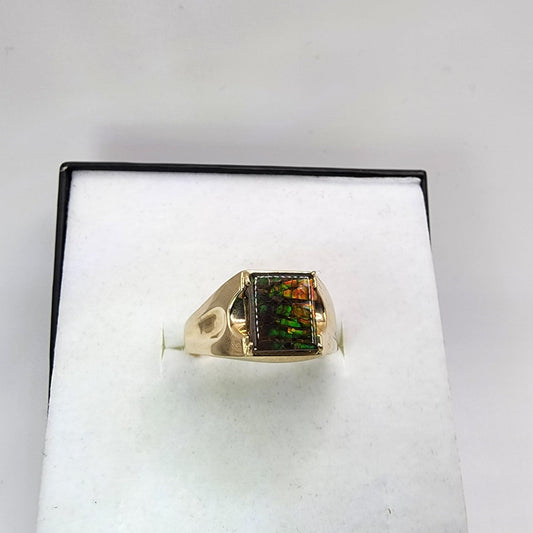 10K Yellow Gold Ammolite Ring