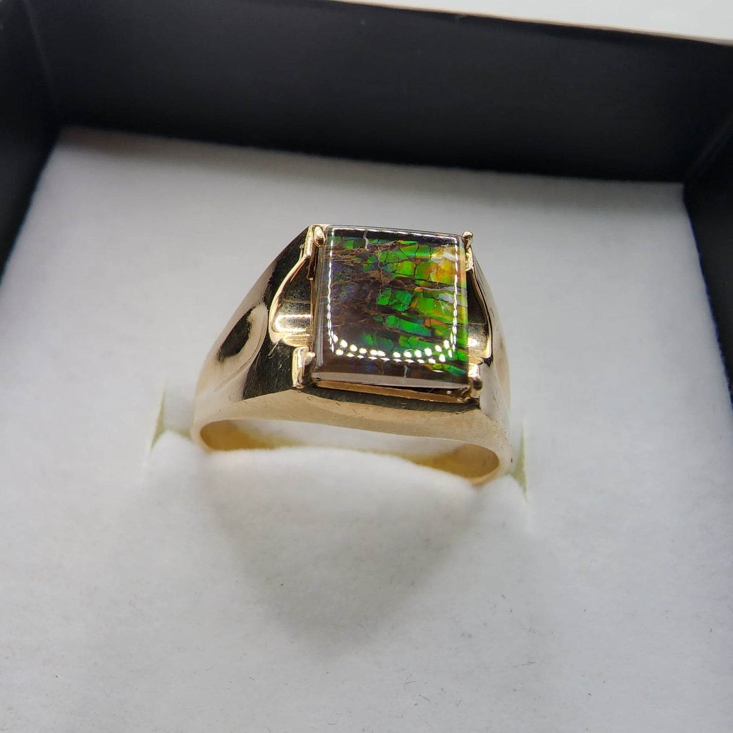 10K Yellow Gold Ammolite Ring