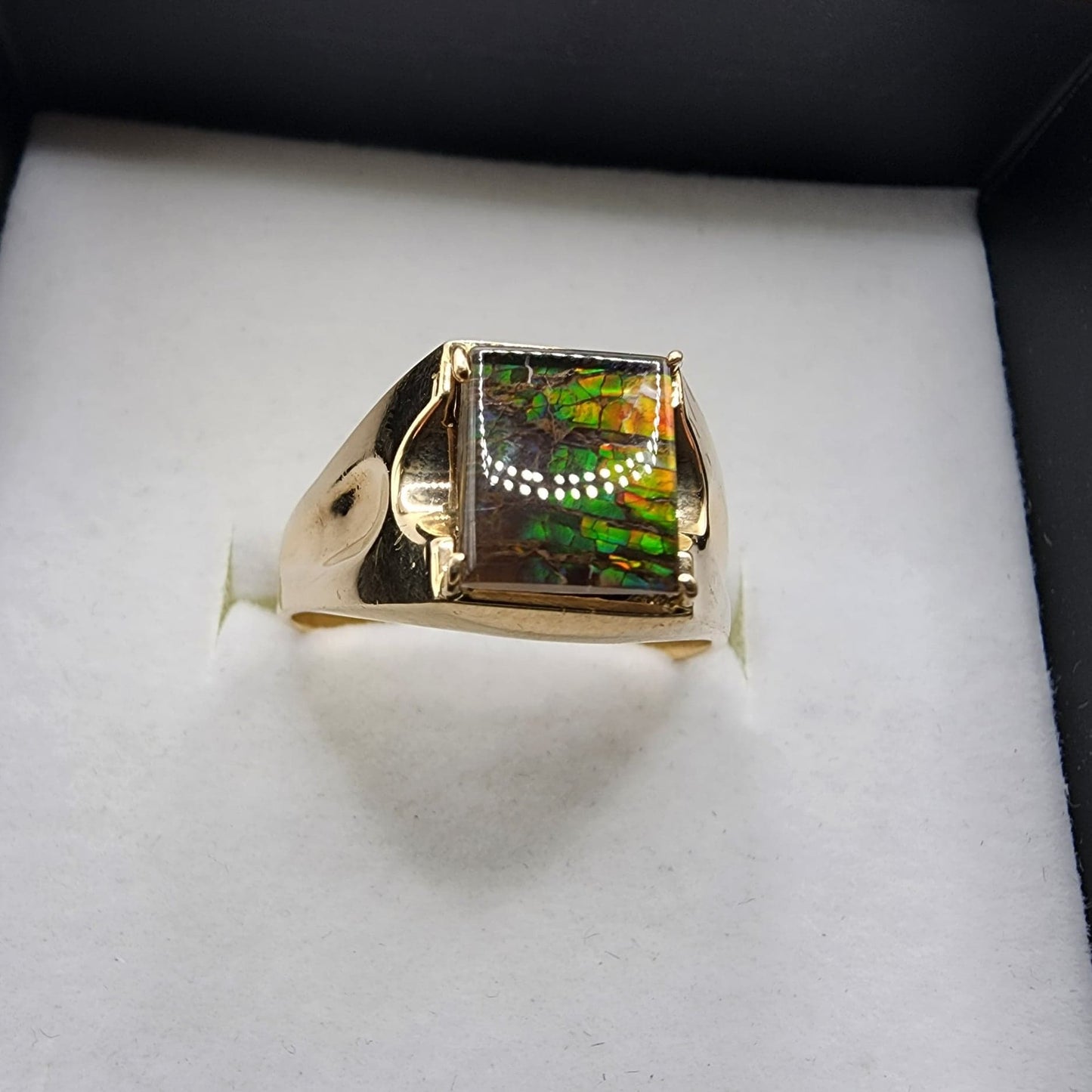 10K Yellow Gold Ammolite Ring
